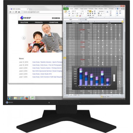 Eizo S1934H IPS Monitor 19" 1280x1024 με Χρόνο Απόκρισης 14ms GTG