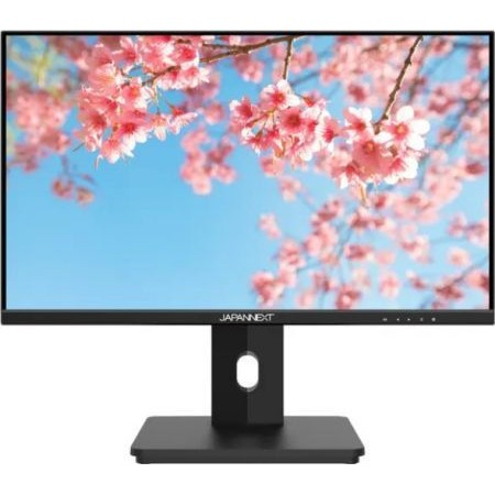 Japannext IPS HDR Monitor 21.5